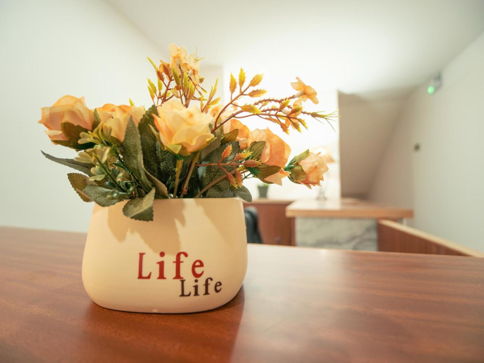 Apartament Residencial Liviamilena Santa Maria Zewnętrze zdjęcie
